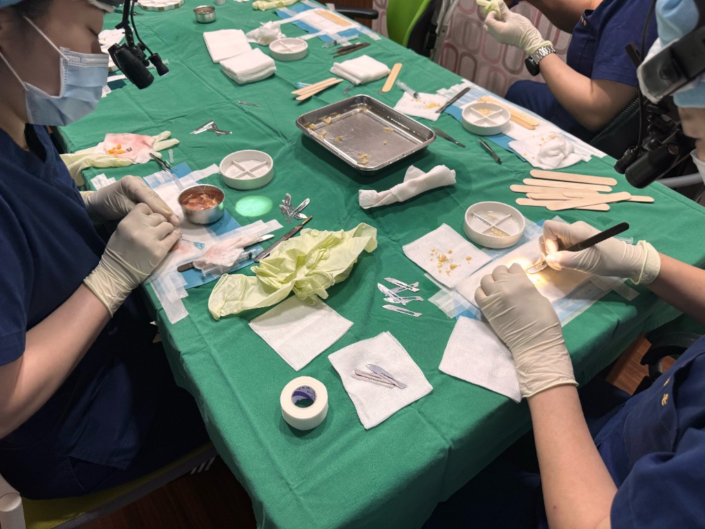 Morgan Dermatology surgical team